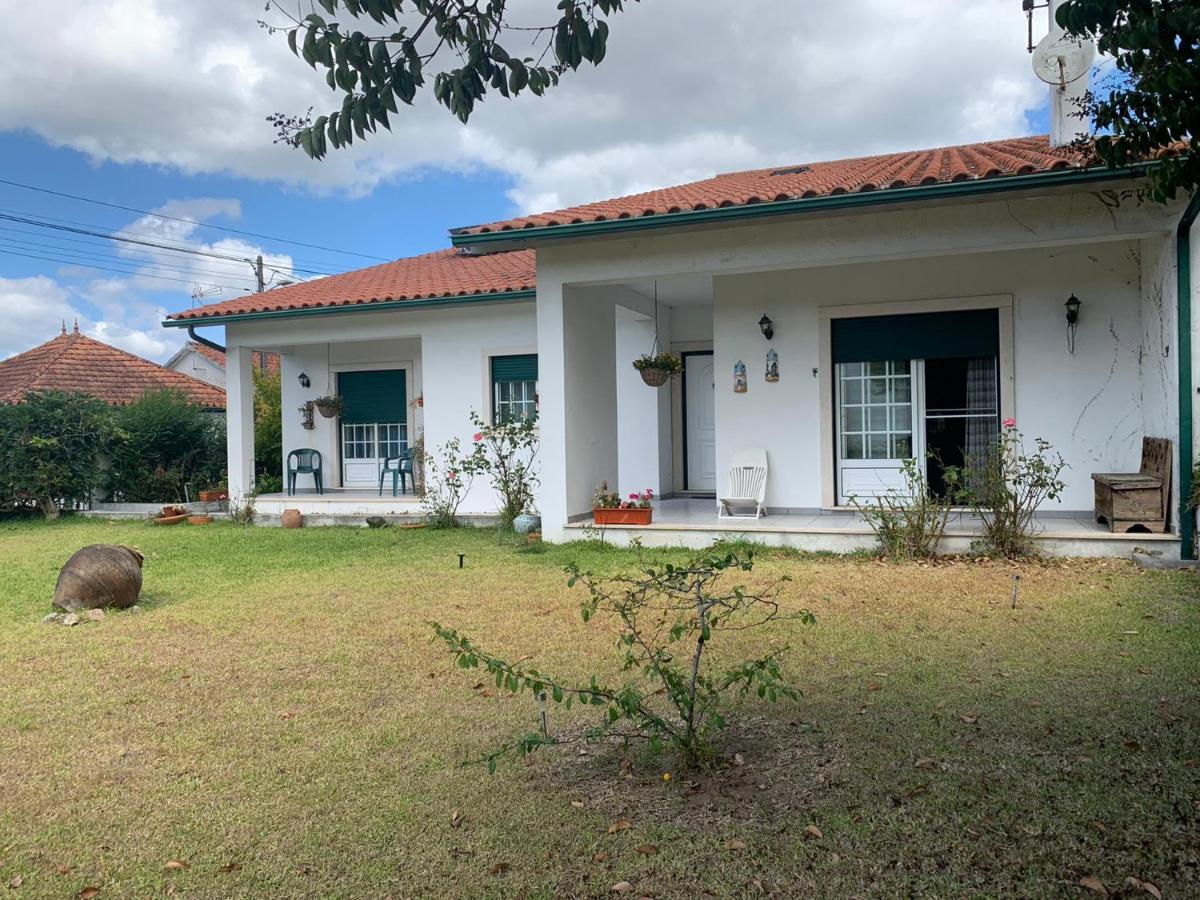 Casa Da Nespereira- Lugar Acolhedor Rodeado De Natureza Soure Ngoại thất bức ảnh